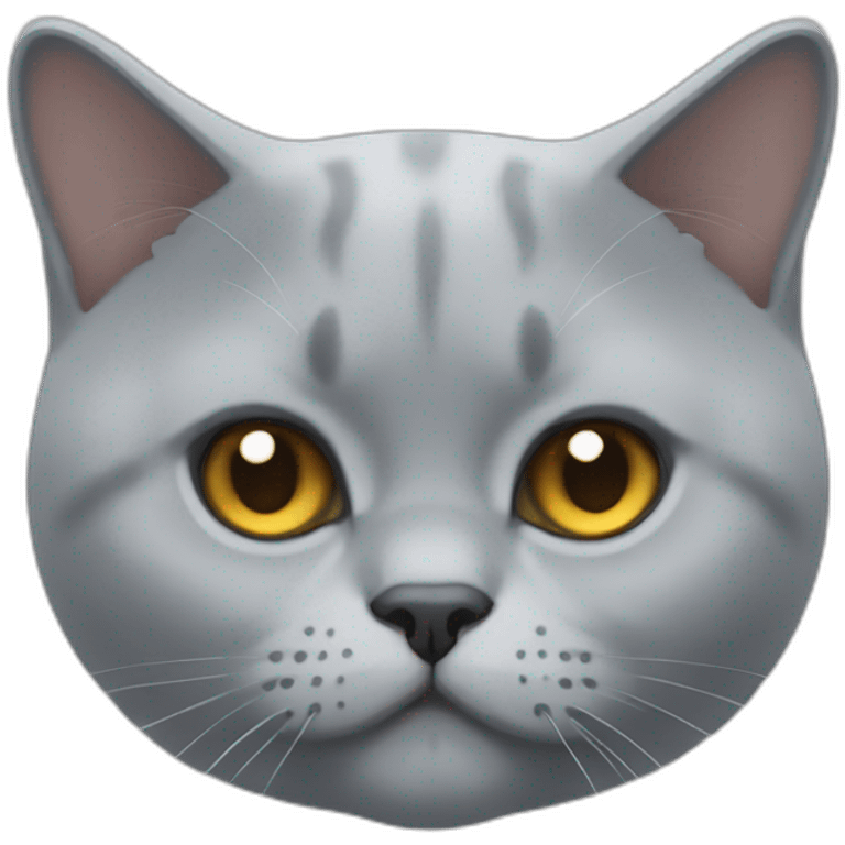 British shorthair cat face emoji