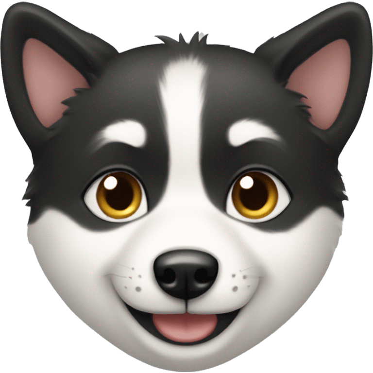 boy with  black and white pomsky smile emoji