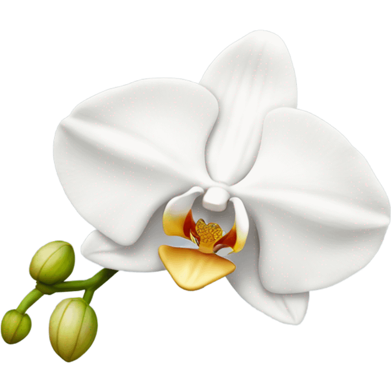 White orchid emoji