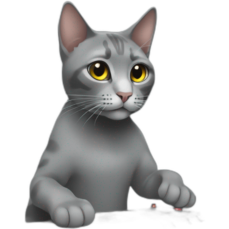 a grey tabi cat djing emoji