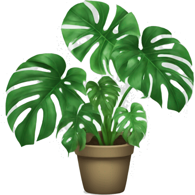 Monstera plant emoji