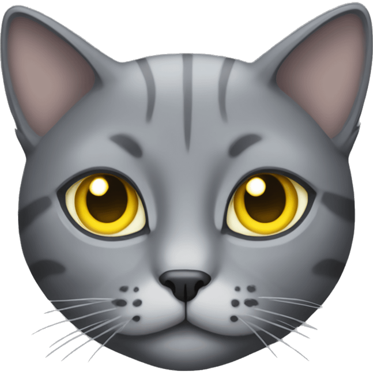 Grey cat with yellow eyes emoji