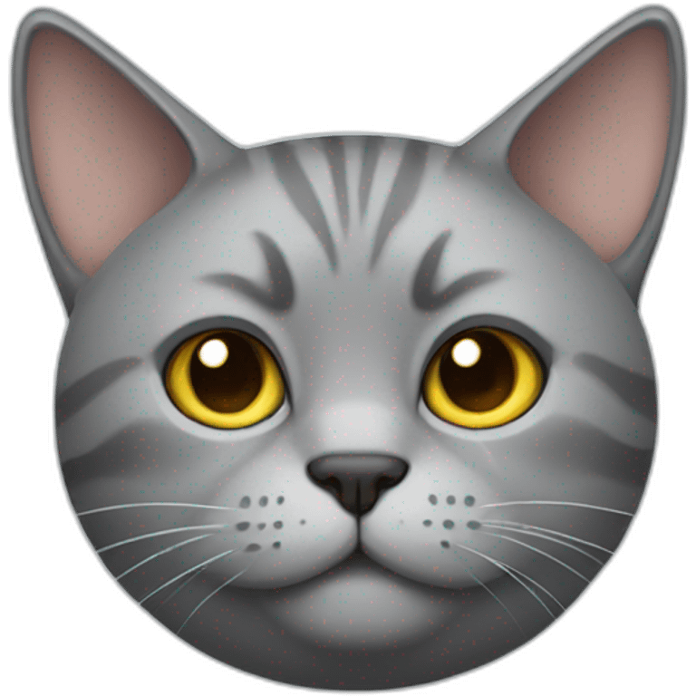 Grey cat with extra fat face no stripes emoji