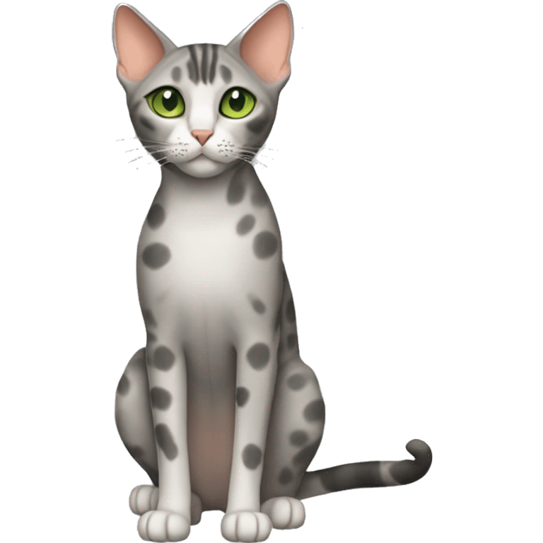 Short-haired oriental cat ,full body , grey coat with small spots , green eyes , terracotta nuzzle emoji