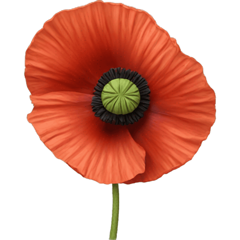 Poppy emoji