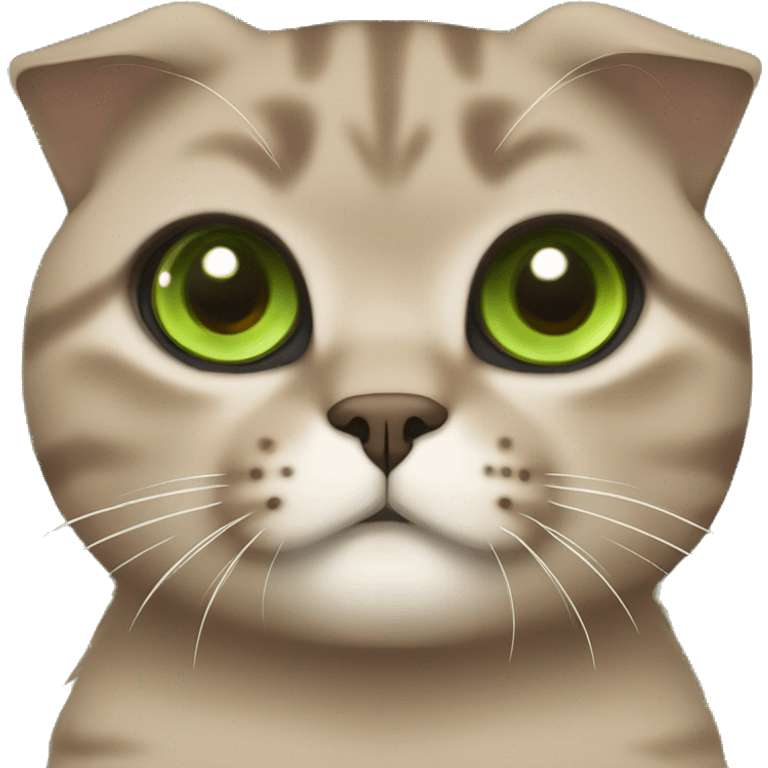 brown scottish fold cat with green eyes  emoji