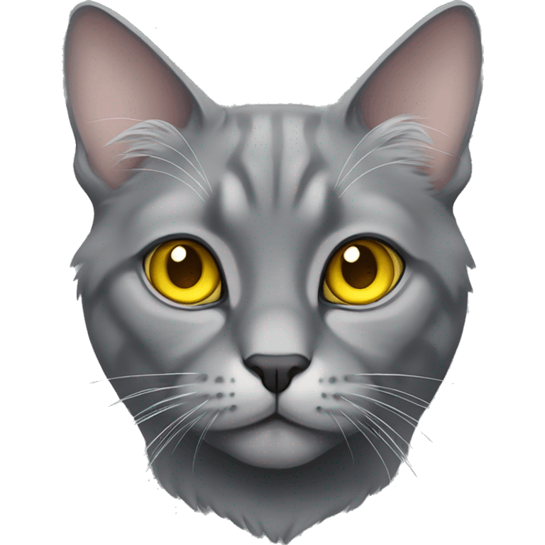 gray lop-eared cat with yellow eyes emoji