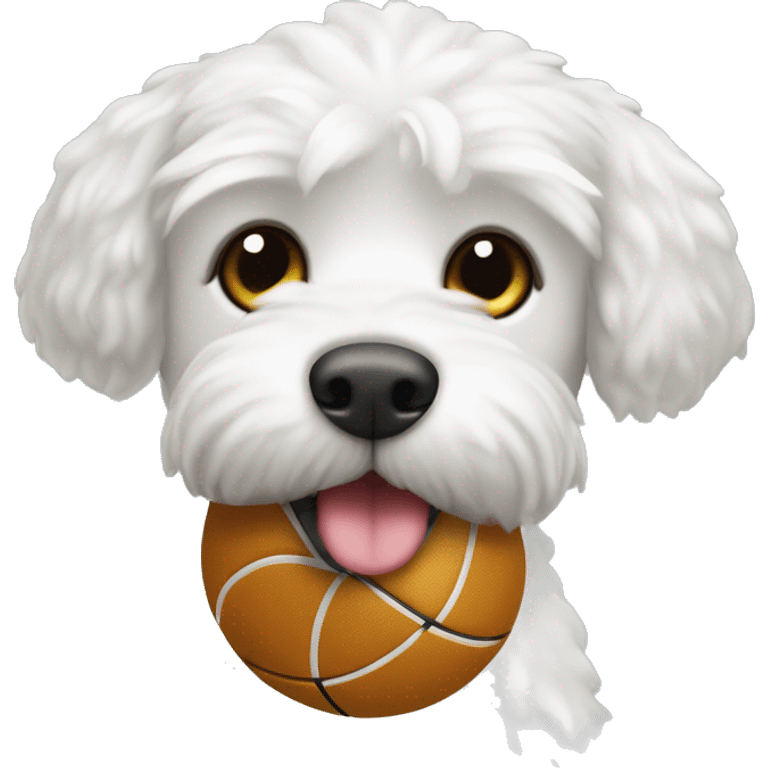 Perro caniche toy blanco con una pelota en la boca emoji