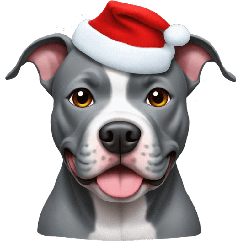 grey pitbull with chritsmas cap emoji