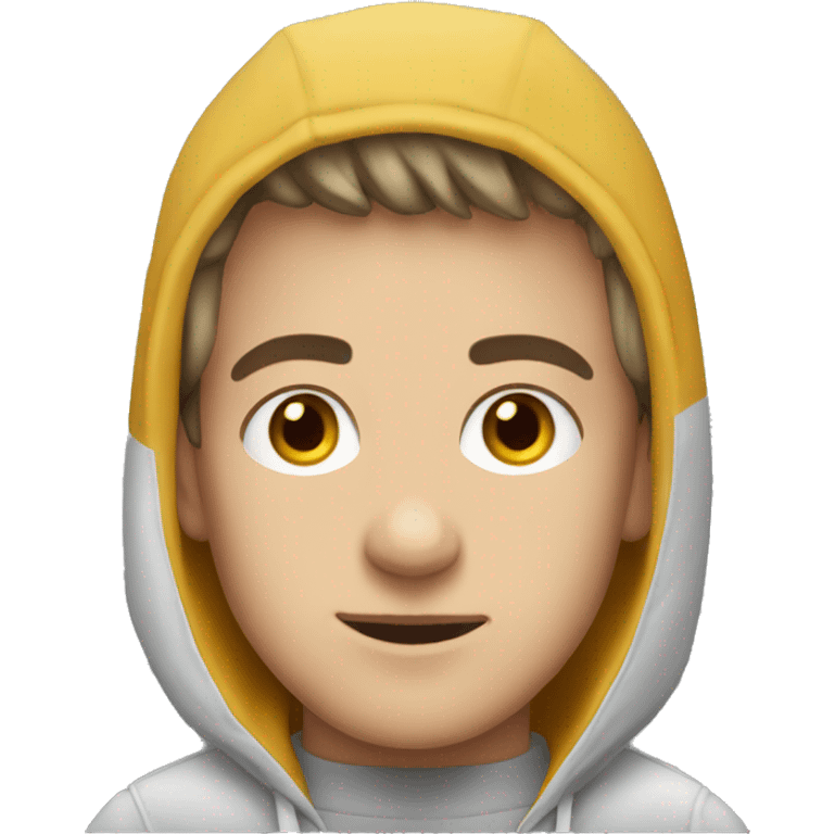 young man, short fair hair, grey eyes, wearing hoody emoji