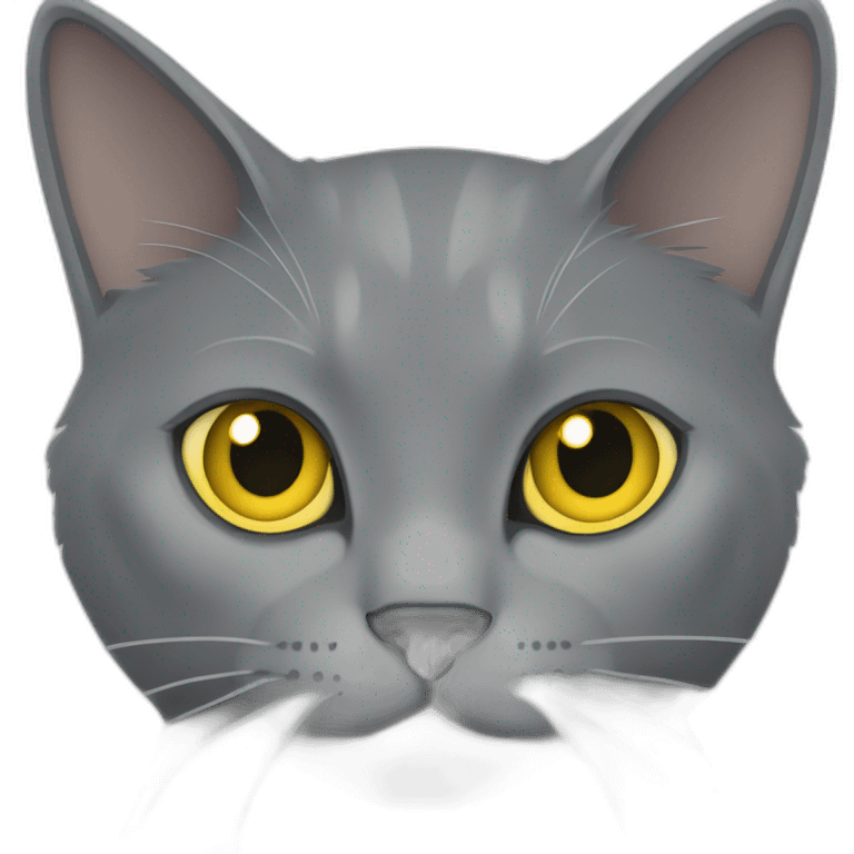 cuddly fluffy grey korat breed cat with yellow eyes black pupils, walking and playing female emoji