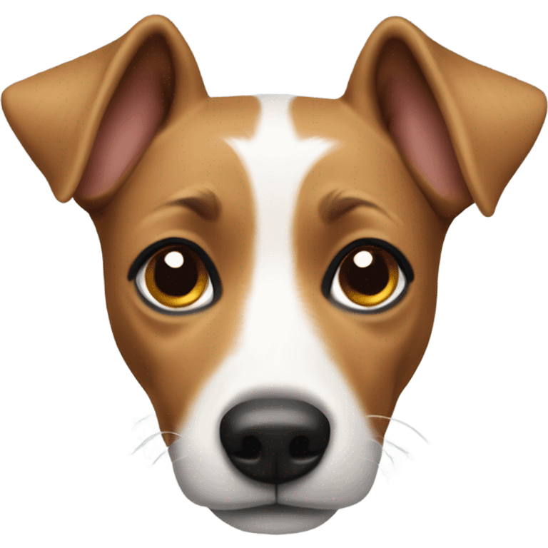 Jack rassel  emoji