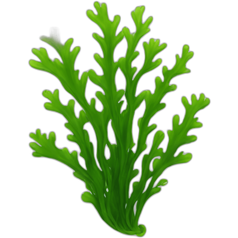 seaweed emoji