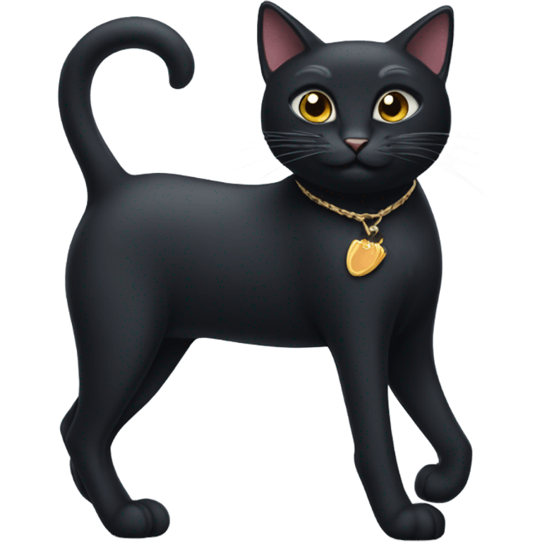 a black cat in heel emoji