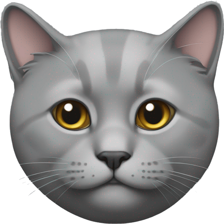 British cat grey  emoji