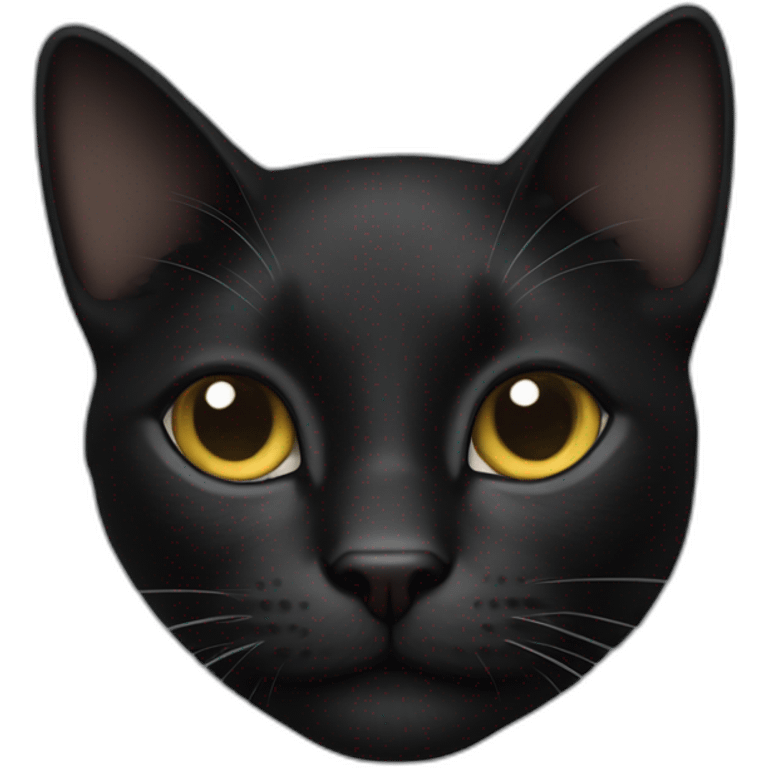 Gato negro emoji