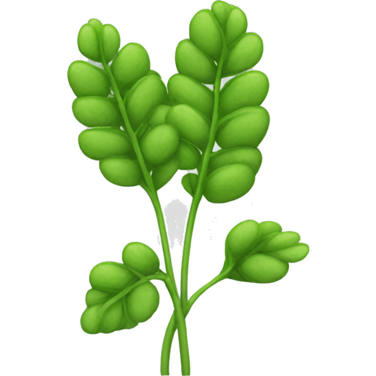 lentil plant emoji