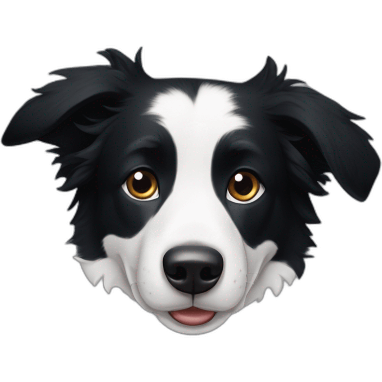 Border Collie black  with one erect ear and one lying ear is sitting emoji