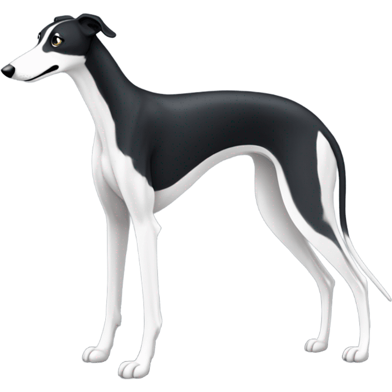 Black and white greyhound emoji