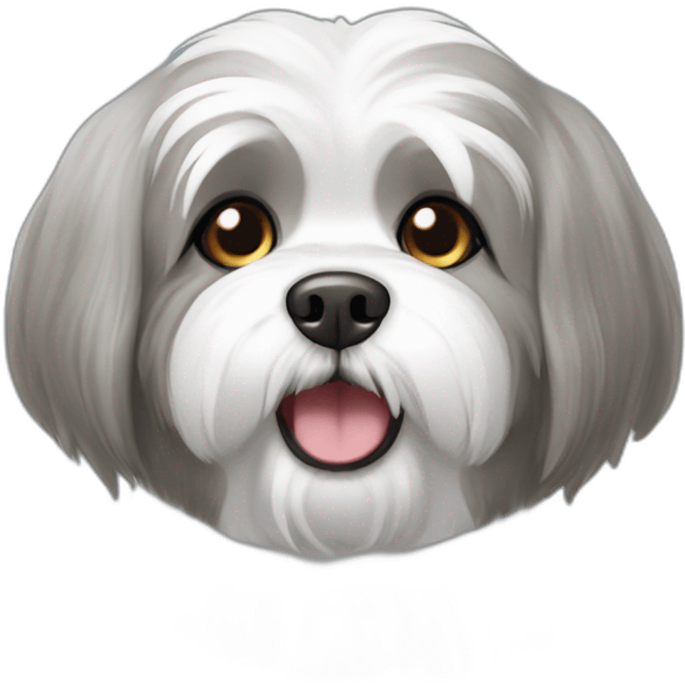 gray and white lhasa apso smiling emoji