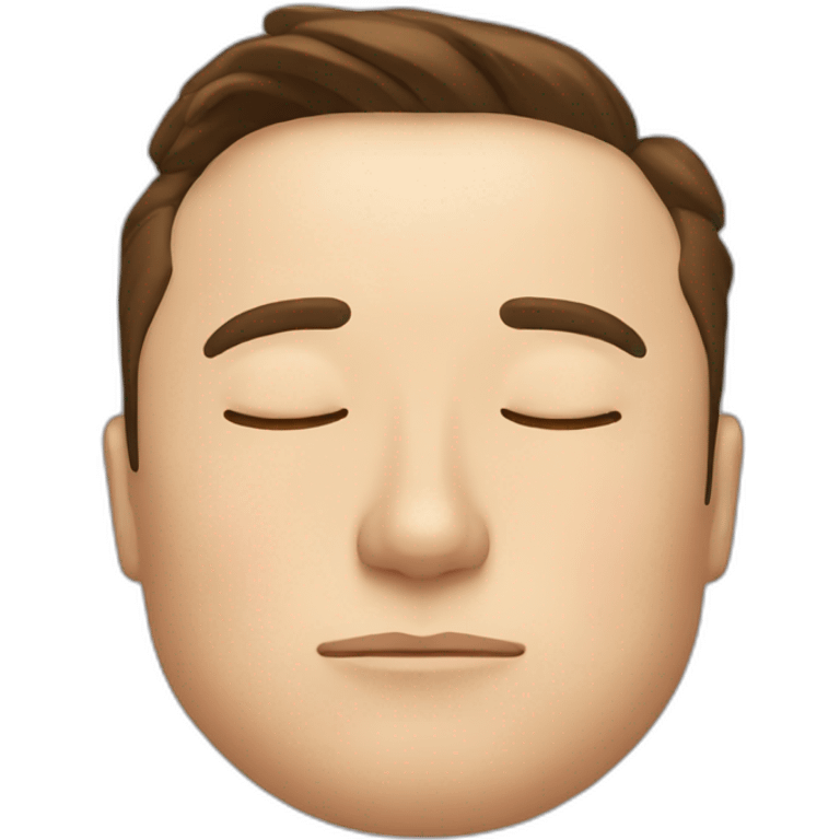 Elon musk sleeping emoji