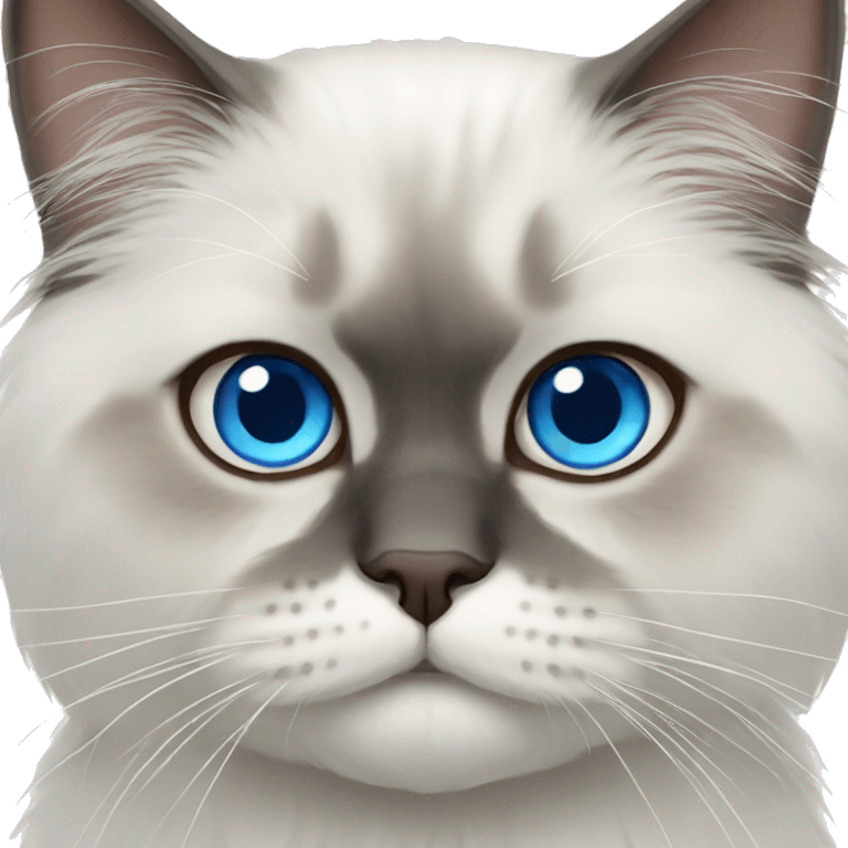 Persian cat blue eyes  emoji