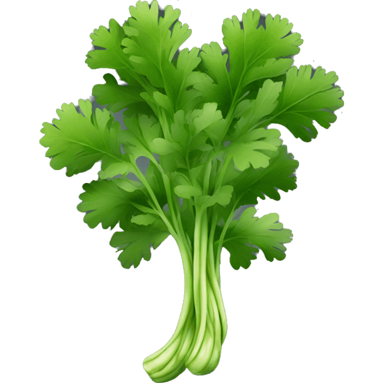 Cilantro with black background emoji