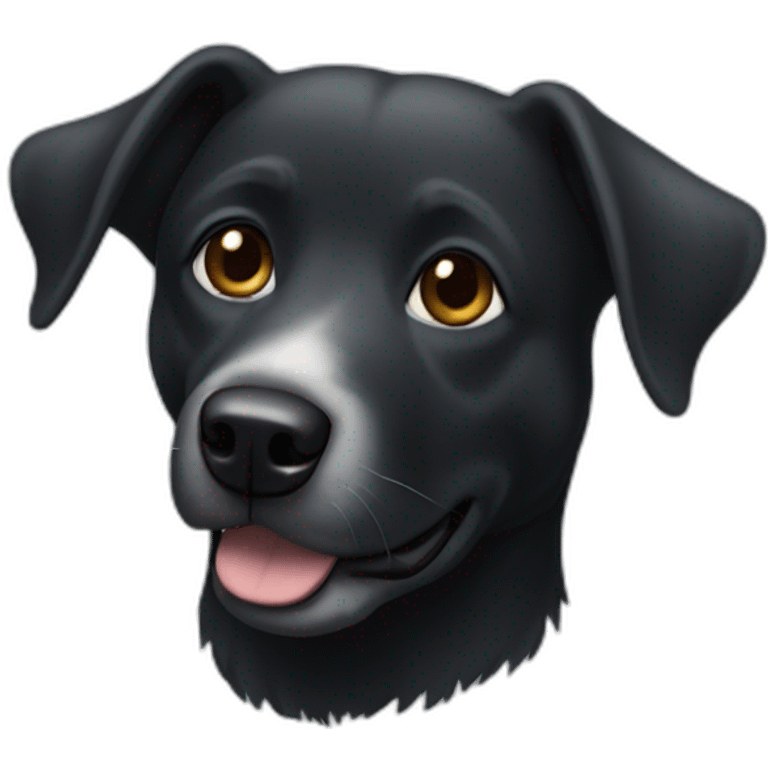 Un chien noir qui fais du toboggan emoji