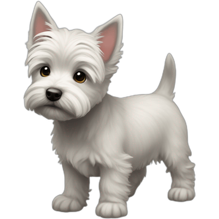 A light grey westie-cairn cross puppy emoji