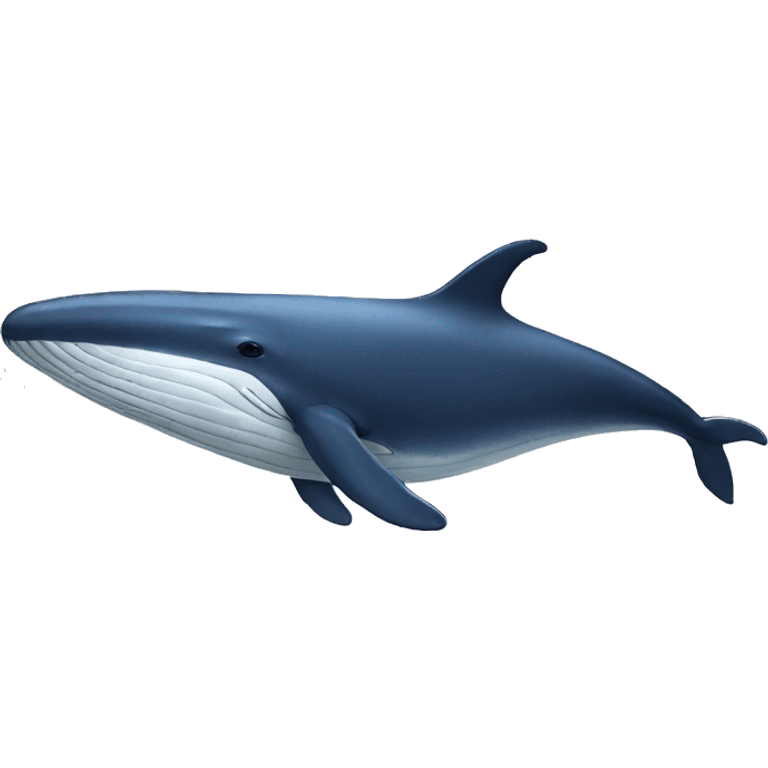 whale emoji