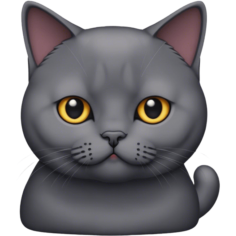 black British shorthair cat emoji