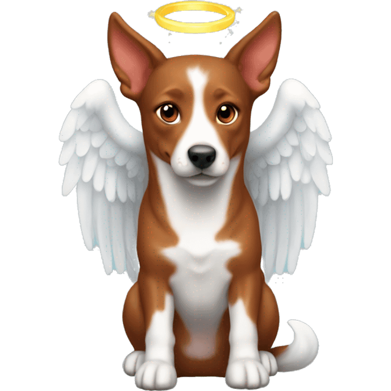 Red kelpie dog with angel halo emoji