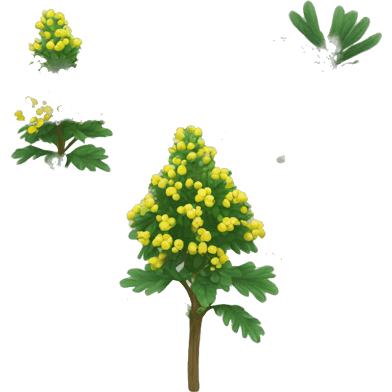 shame plant mimosa podia dormilona emoji