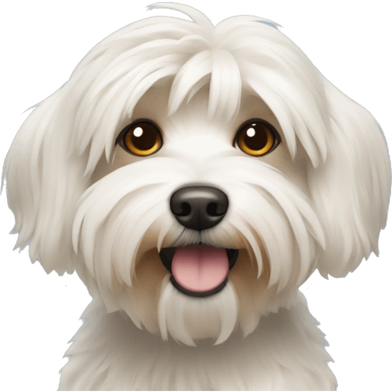 Havanese dog emoji