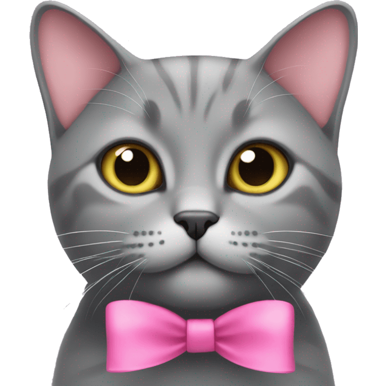 grey british cat with a pink bow  emoji