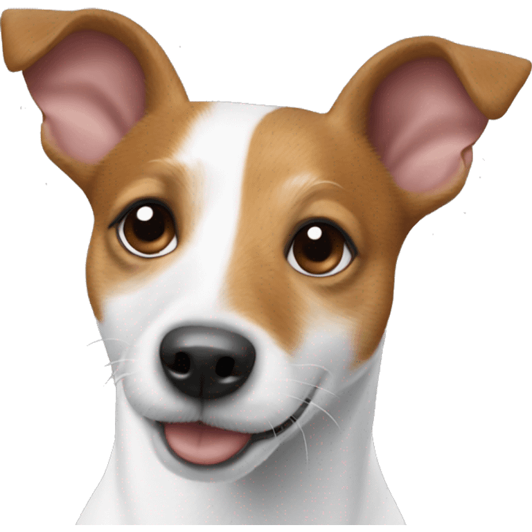 Jack Russel rat terrier mix emoji