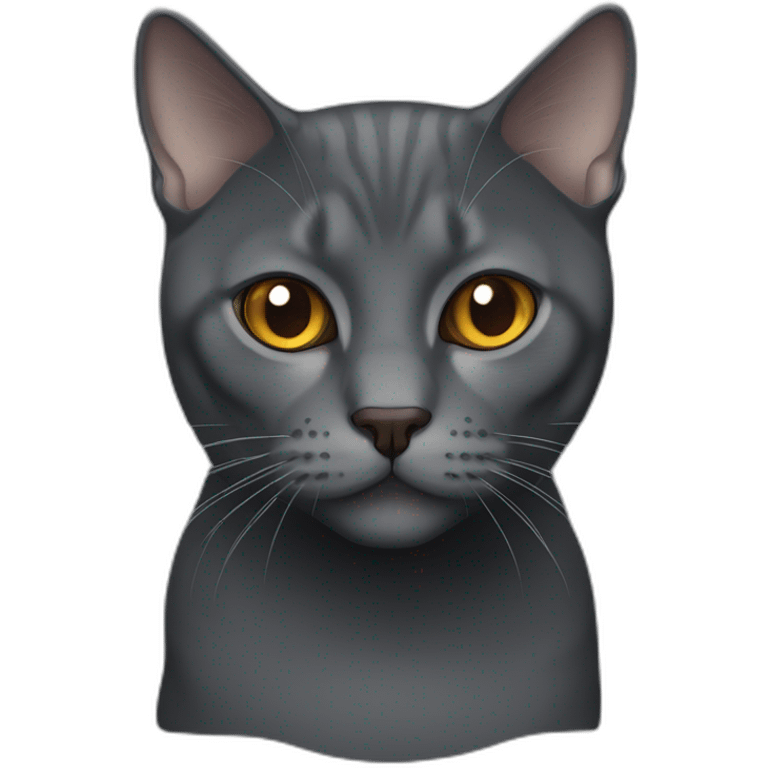 dark grey brittish shorthair cat with caramel eyes emoji