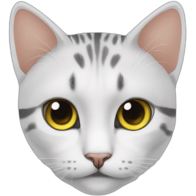 cats the armed forces of Ukraine emoji