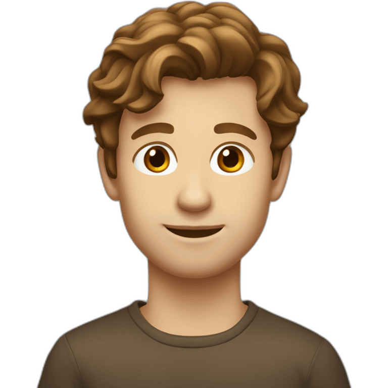 stijn thijssen with brown hair emoji