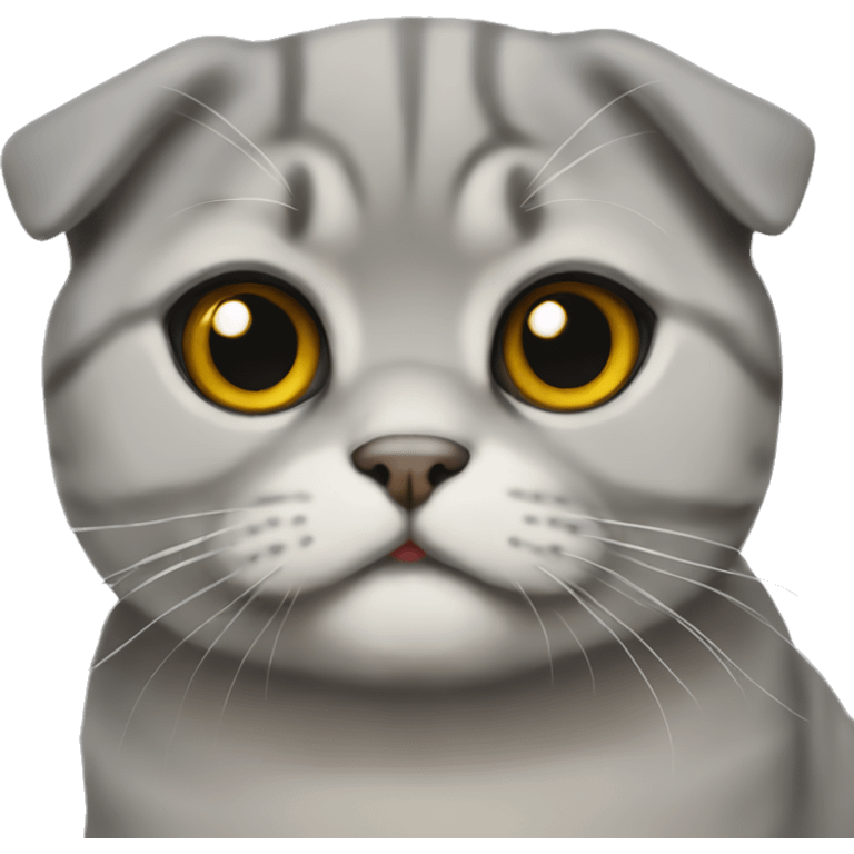 Scottish fold emoji