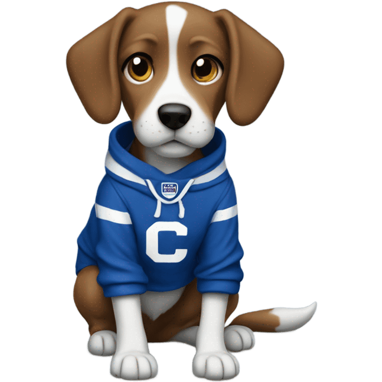 Dog wearing colts sweatshirt emoji