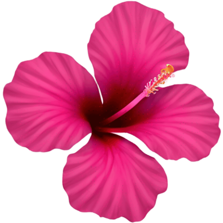 Pink hibiscus  emoji