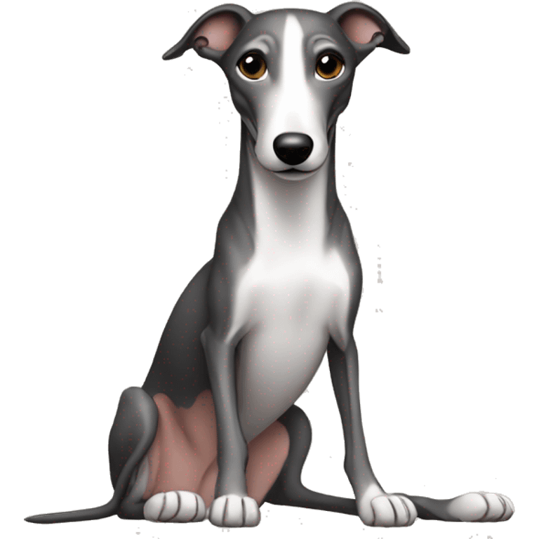 Skinny all back whippet sitting emoji