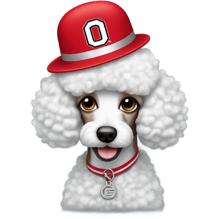 Poodle wearing Ohio state hat emoji