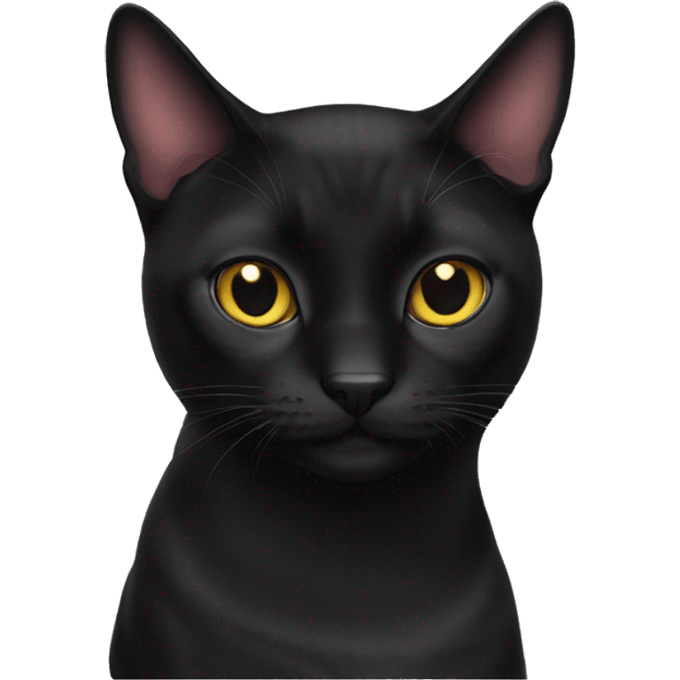 bombay cat emoji