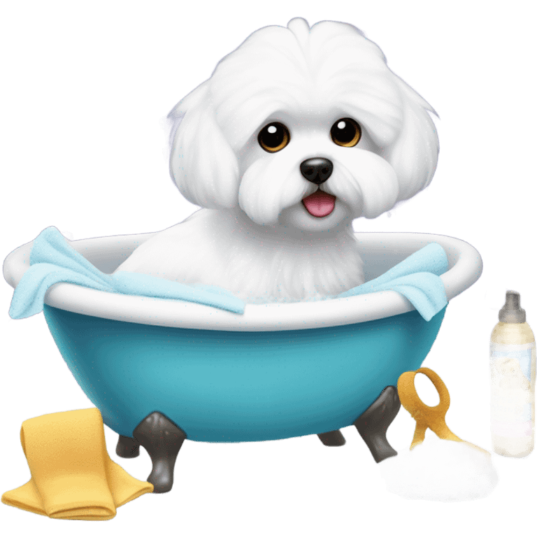 Bichon Maltese at the spa emoji