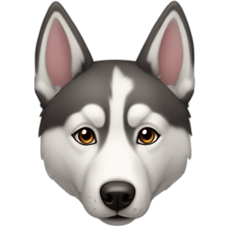 Chien husky, croisé border coller emoji