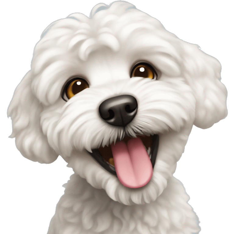 White Maltipoo dog that has a single tooth showing out of their mouth  emoji