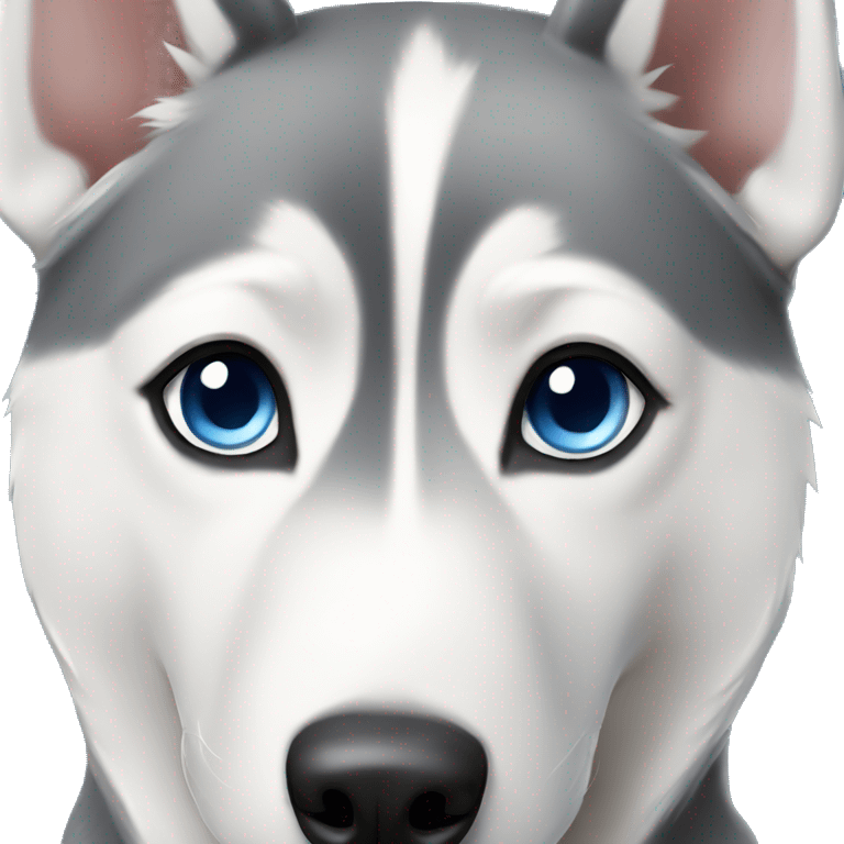 Grey Siberian Husky with blue eyes  emoji