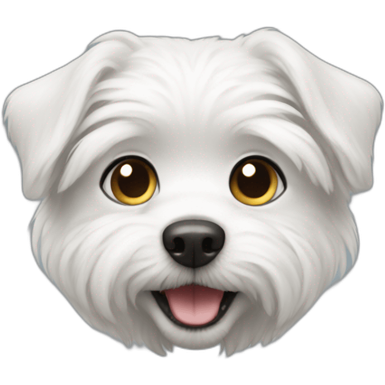 a small white dog emoji